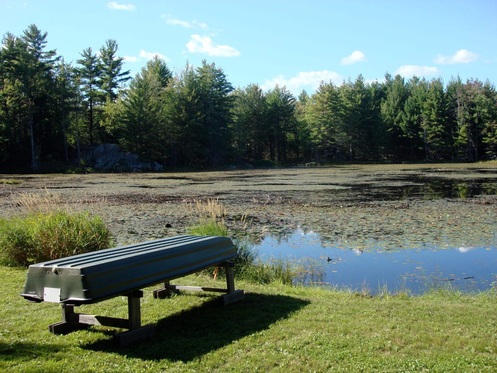 Pond SItting Area-Before